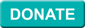 Donation button